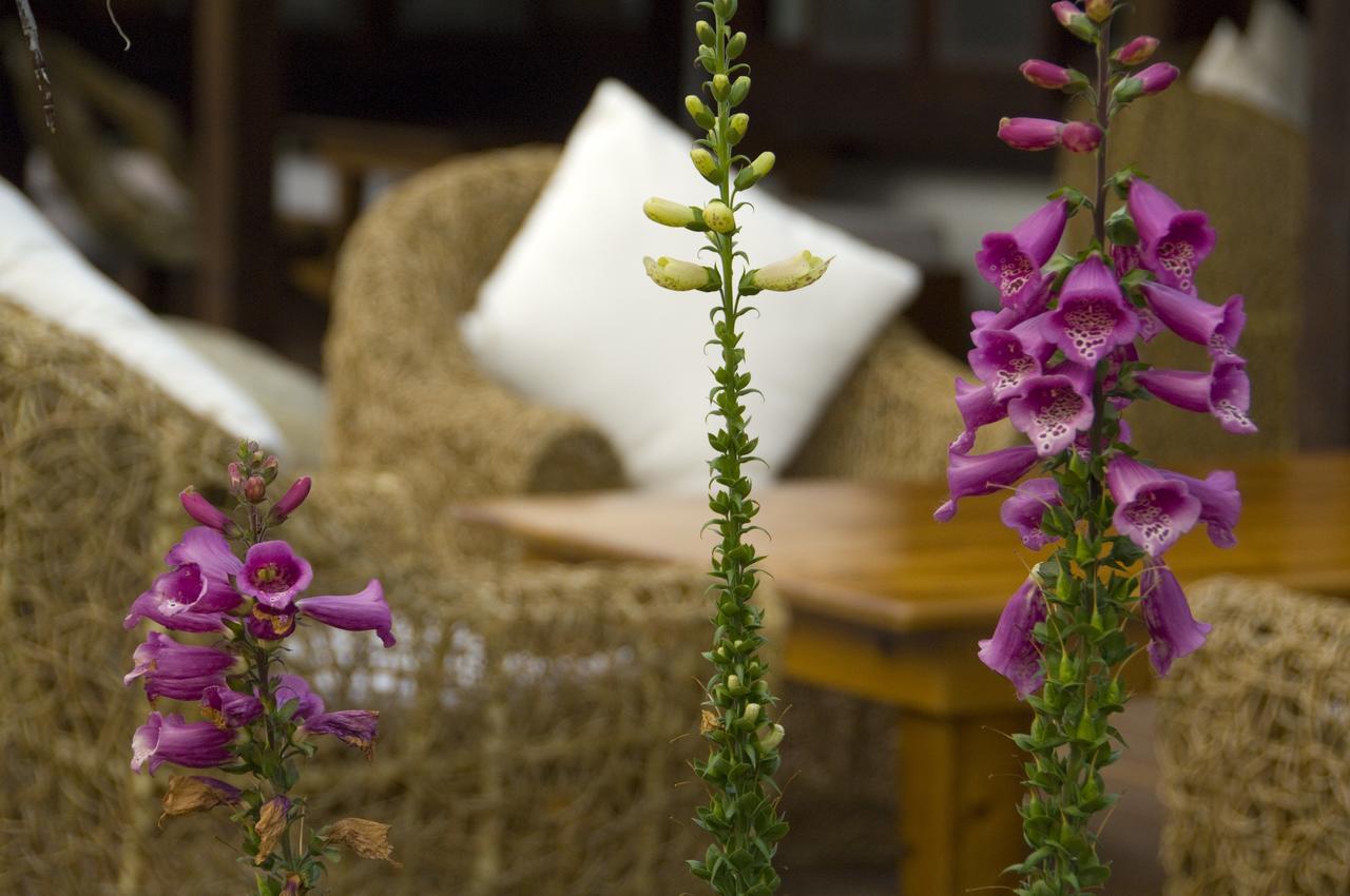 Flower Free花自在 Zhoulan Extérieur photo